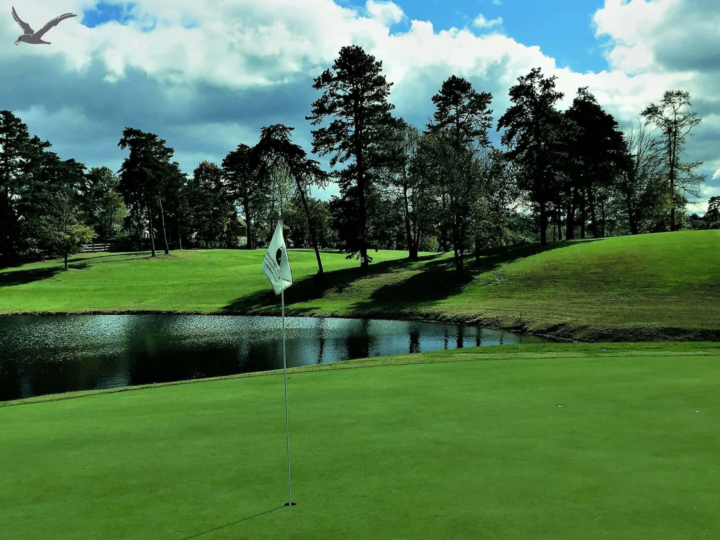 अल्बट्रॉस स्पोर्ट्स: 10 फास्ट फॅक्ट्स टू कॉऊन गोल्फ (भाग 1)